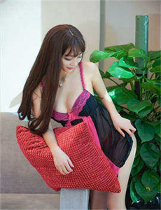 情与法2016