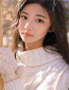 狐妖小红娘免费播放